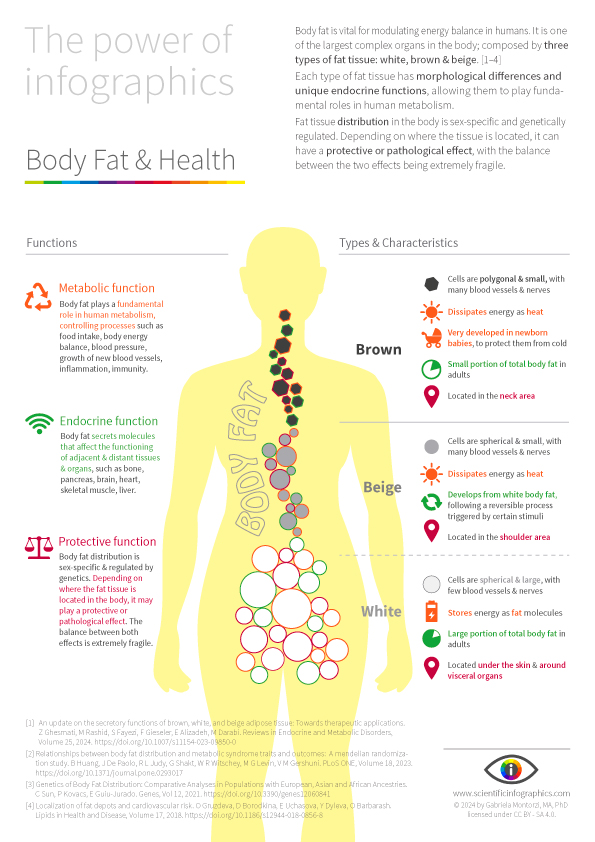 33 Cycles & Health